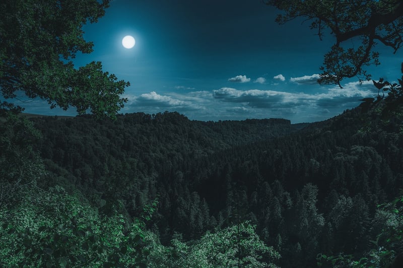 Werewolf